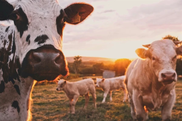 Deine Zukunft – erleben statt googeln. Thema: Nachhaltige Landwirtschaft